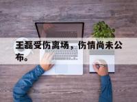 爱游戏平台登录入口-王磊受伤离场，伤情尚未公布。