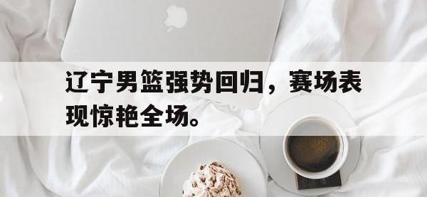 爱游戏平台登录入口-辽宁男篮强势回归，赛场表现惊艳全场。