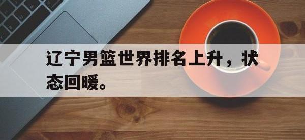 爱游戏平台登录入口-辽宁男篮世界排名上升，状态回暖。