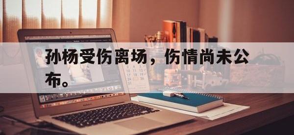 爱游戏平台登录入口-孙杨受伤离场，伤情尚未公布。