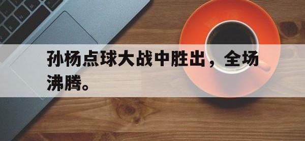 爱游戏平台登录入口-孙杨点球大战中胜出，全场沸腾。