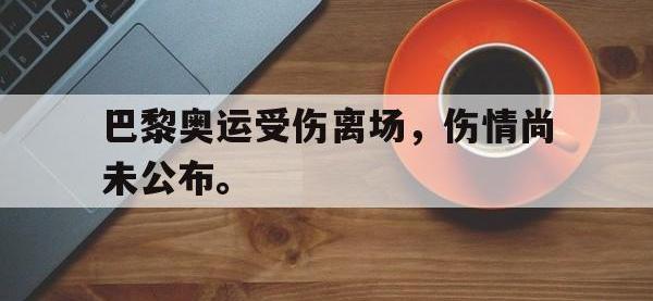 爱游戏登录app-巴黎奥运受伤离场，伤情尚未公布。