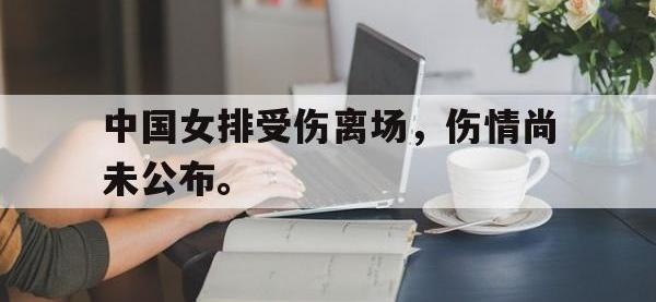 爱游戏登录app-中国女排受伤离场，伤情尚未公布。