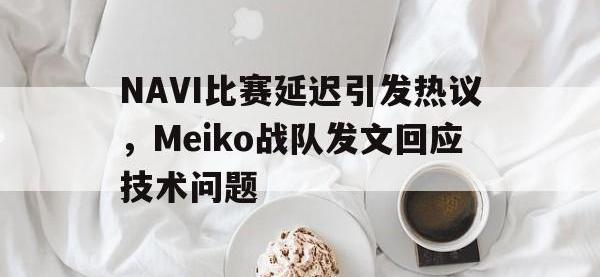 爱游戏平台登录入口-NAVI比赛延迟引发热议，Meiko战队发文回应技术问题