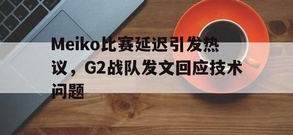 爱游戏登录app-Meiko比赛延迟引发热议，G2战队发文回应技术问题