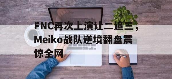 爱游戏平台登录入口-FNC再次上演让二追三，Meiko战队逆境翻盘震惊全网