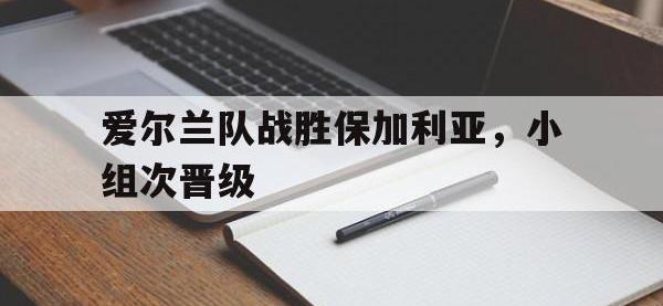 爱游戏平台登录入口-爱尔兰队战胜保加利亚，小组次晋级