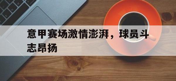 爱游戏登录app-意甲赛场激情澎湃，球员斗志昂扬