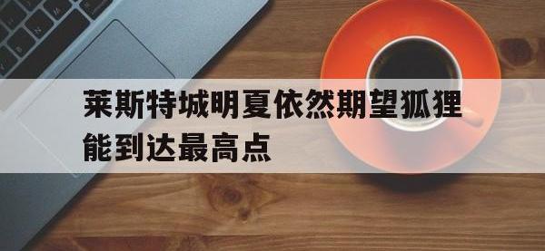 爱游戏登录app-莱斯特城明夏依然期望狐狸能到达最高点
