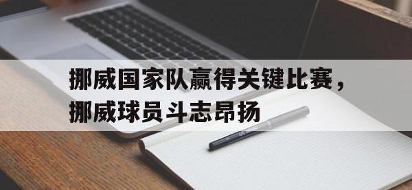 爱游戏登录app-挪威国家队赢得关键比赛，挪威球员斗志昂扬