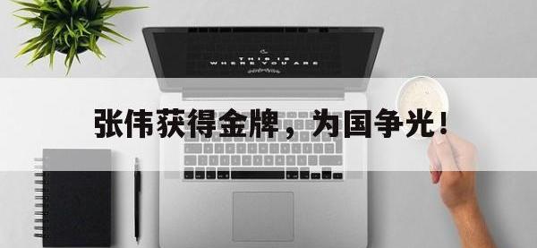 爱游戏平台登录入口-张伟获得金牌，为国争光！
