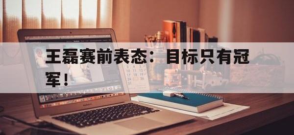 爱游戏登录app-王磊赛前表态：目标只有冠军！