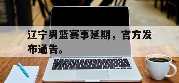 爱游戏登录app-辽宁男篮赛事延期，官方发布通告。