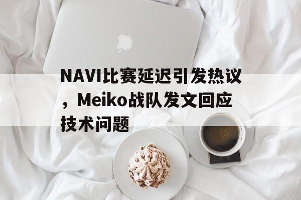 NAVI比赛延迟引发热议，Meiko战队发文回应技术问题
